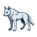 Rime Wolf