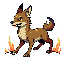 Steppe Jackal