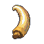 Reed Boar Tusk