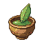 Frostleaf Tea